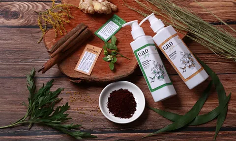 C.A.O Sữa tắm - Dầu gội Quế, Tam nại - Công thức tuyệt vời cho gia đình trong giai đoạn giao mùa