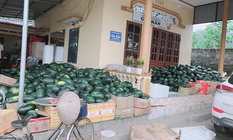 Boss mỹ phẩm Gia Hân bán dưa hấu giải cứu nông sản cho bà con nông dân lấy tiền làm từ thiện