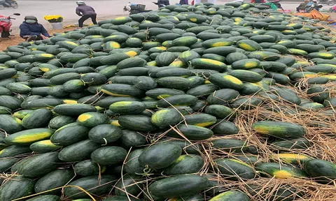 Không chỉ 'giải cứu' Dưa Hấu, Mỹ phẩm Gia Hân Group còn chứng minh tình người mới cao quý hơn cả