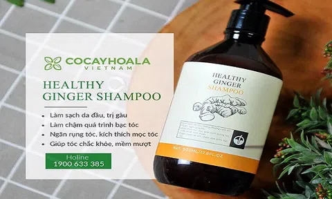 Top sản phẩm bán chạy không thể bỏ lỡ của Cỏ cây hoa lá