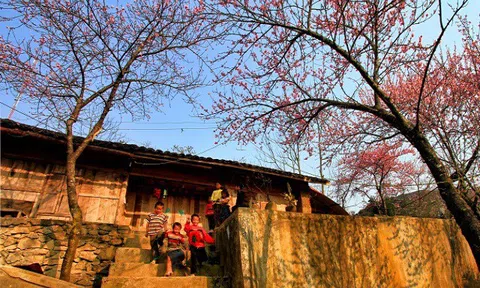 Cho tôi về dưới hiên nhà