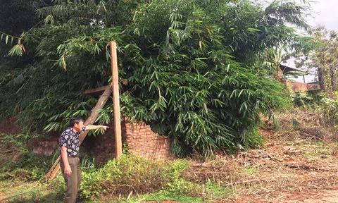  Gia Lai: Tỉnh vào cuộc do huyện tùy tiện
