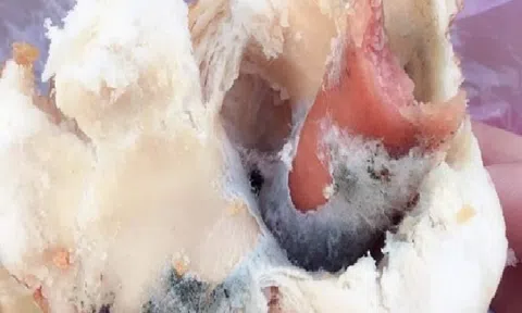 Đà Nẵng: Phạt cửa hàng bị tố bán bánh mì nổi mốc 27,5 triệu đồng