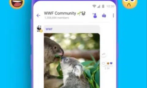 Viber thêm biểu tượng cảm xúc mới vào tính năng Tương tác Tin nhắn trong các nhóm Cộng đồng