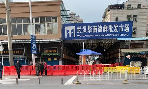 Tiết lộ bất ngờ gây chấn động về bệnh nhân đầu tiên mắc dịch COVID-19
