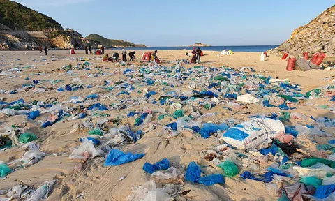 Ninh Thuận:  Hàng trăm người thu gom 30 tấn rác, "giải cứu" bãi biển xinh đẹp