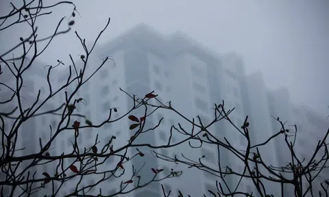 Hà Nội sáng sớm sương mù, ngày nắng, đêm có mưa vài nơi