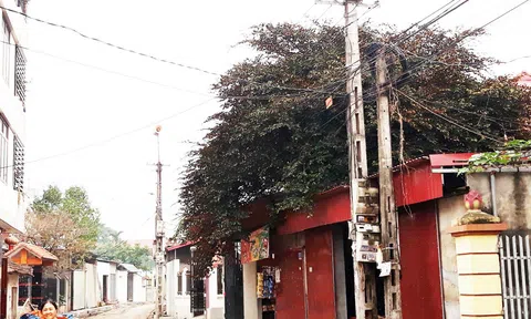 Hợp tác xã Dịch vụ điện Bình Định (Yên Lạc – Vĩnh Phúc): Nội bộ lục đục, thu trái quy định, dân lãnh đủ