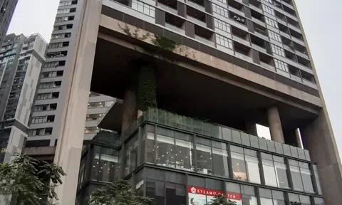 Sai phạm tại chung cư Dolphin Plaza:  Chủ đầu tư chây ì, chính quyền quận thờ ơ