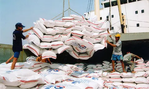 Chính phủ đồng ý xuất khẩu gạo trở lại nhưng phải đảm bảo an ninh lương thực