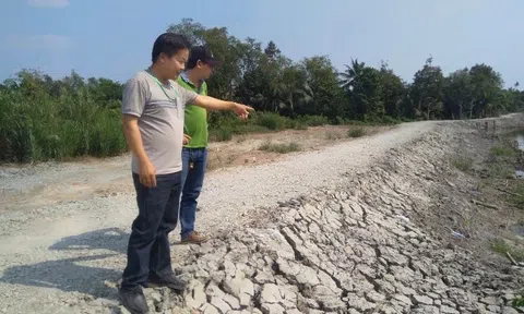 Bình Mỹ, Củ Chi, TP.HCM: Chính quyền gây lỗi dân gánh chịu