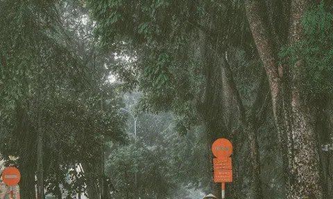 Bắc Bộ có mưa giông diện rộng, nguy cơ cao xảy ra lũ quét và sạt lở đất