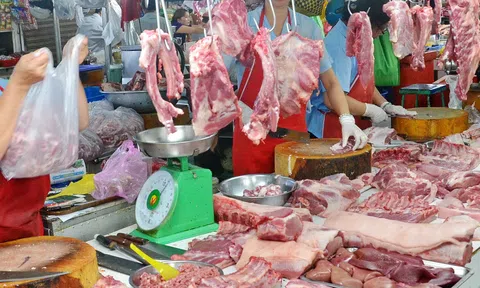 Giá heo hơi tăng lên 97.000 đồng/kg, chạm mốc 100.000 đồng/kg