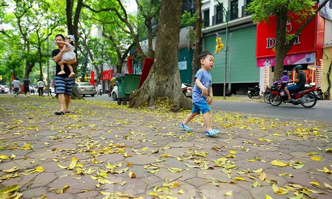 Hà Nội mùa thay lá