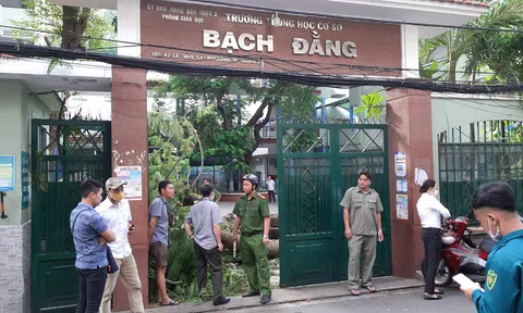 TP.HCM: Cây phượng cổ thụ bật gốc đè nhiều học sinh trong sân trường, 1 em tử vong