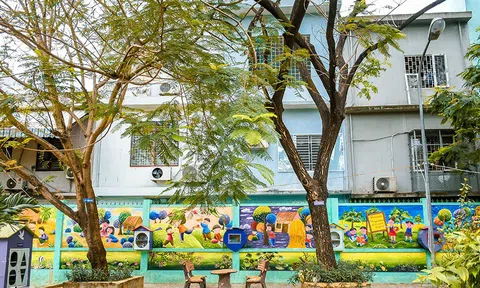 Bộ GD&ĐT yêu cầu rà soát toàn bộ cây xanh trong trường học