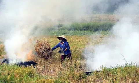 Chất lượng không khí đạt ngưỡng "rất xấu" do tình trạng đốt rơm rạ