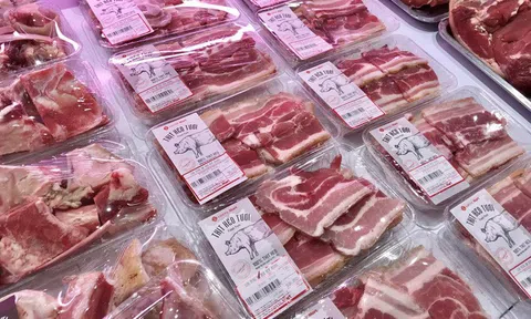Hà Nội triển khai các giải pháp để "hạ nhiệt" giá thịt lợn