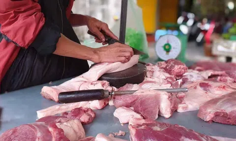 Giá thịt heo tiếp tục có xu hướng giảm