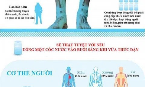 Nên uống bao nhiêu nước mỗi ngày để bảo vệ sức khỏe?