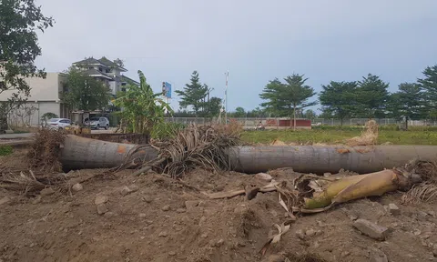 Nghi Kim (TP Vinh- Nghệ An): Cần làm rõ việc doanh nghiệp tự ý “cưỡng chế” nhà dân