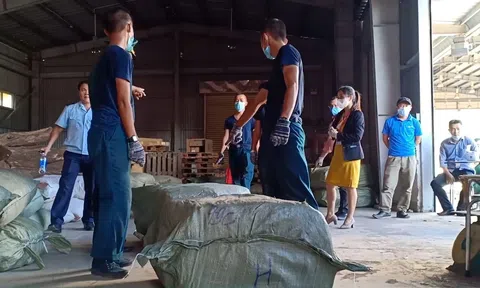 Gần trăm tấn dược liệu Trung Quốc  đội lốt nông sản nhập về cảng Đà Nẵng