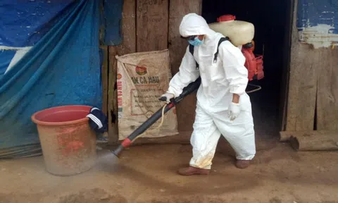Ngăn chặn sớm, không để ổ dịch bạch hầu bùng phát