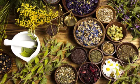 9 loại dược liệu được giới chuyên gia đánh giá cao