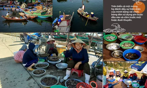 Cuộc phiêu lưu miệt biển