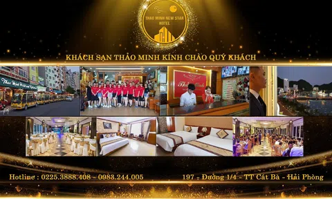 Khách sạn Thảo Minh – Trải nghiệm phong cách nghỉ dưỡng cao cấp bên bờ biển Cát Bà