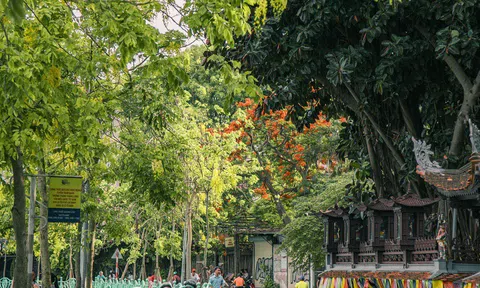 Hà Nội bình yên trong những ngày nắng hạ