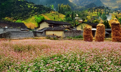 Mùa thu Hà Giang - Có một cao nguyên đá rất tình