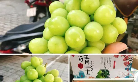 Nho sữa đắt tiền, loạn giá trên thị trường mạng xã hội