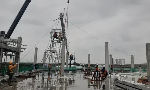Green Việt Nam: Giữ vững giá trị cốt lõi Uy tín - An toàn - Chuyên nghiệp