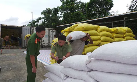 Lào Cai: 440 tấn hạt dẻ có giá trị 14 tỷ trở thành giá trị không đồng sau hơn 1 năm thu giữ