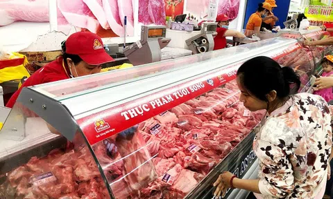 Giá thịt heo chưa có nhiều biến động dù giá heo hơi giảm sâu
