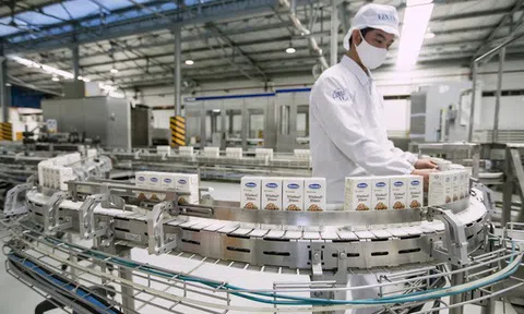 Thương hiệu trị giá hơn 2,4 tỉ USD, Vinamilk dẫn đầu ngành thực phẩm đồ uống