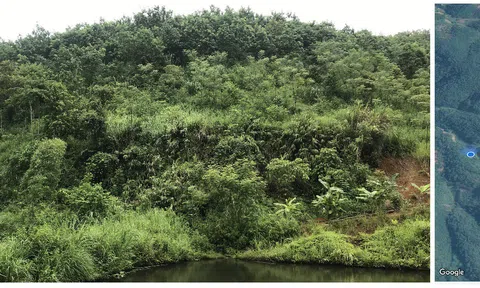 Bản Phiệt – Lào Cai: Cấp đất sai quy trình, chính quyền ém “sổ đỏ” của dân