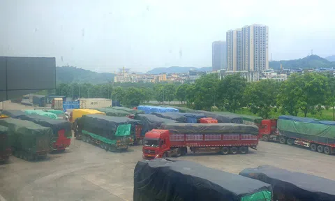 Kim Thành – Lào Cai: Cần làm rõ chủ nhân của hơn 80 xe hàng nằm “đắp chiếu”