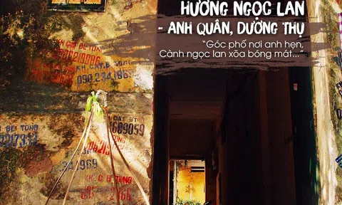 Hà Nội - Những khúc ca về mùa lá đổ