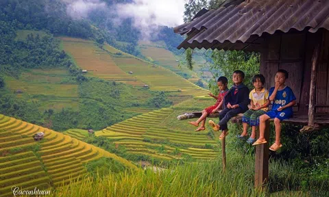 Say đắm trước ruộng bậc thang chín hút tầm mắt ở Mù Cang Chải