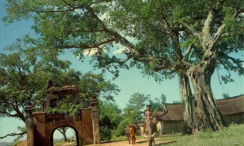 Ðường về quê ngoại