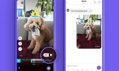Rakuten Viber đã hoạt động như thế nào  trong bối cảnh nửa đầu năm 2020 đầy biến động?