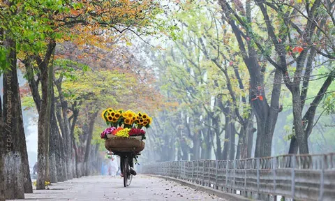 Những khoảnh khắc Hà Nội mùa thu rất "tình" làm xao động hồn du khách