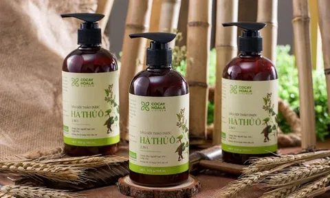 Tác hại nghiêm trọng của dầu gội công nghiệp hóa chất mà có thể bạn chưa biết đến. Nên dùng dầu gội gì để đảm bảo hiệu quả, an toàn?