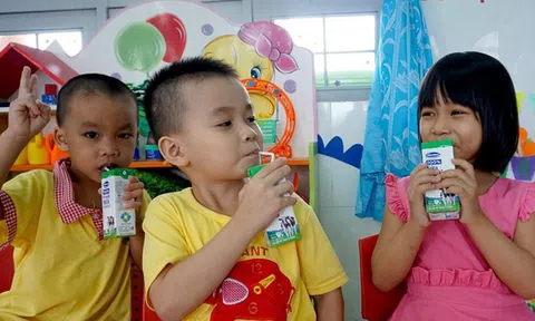 Bình Định tích cực với việc triển khai sữa học đường trong năm học mới