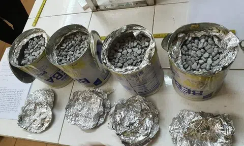 20.000 viên thuốc lắc hình đầu lâu ngụy trang trong hộp sữa bột