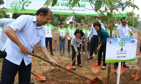 Vinamilk chung tay cùng người dân vừa trồng cây gây rừng, vừa tạo sinh kế