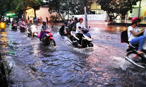 Áp thấp đang đổ bộ Nam Trung Bộ, nhiều nơi mưa rất to