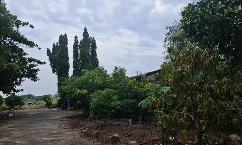 Bà Rịa- Vũng Tàu:  Cần sớm giải quyết dứt điểm quyền lợi cho dân